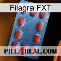 Filagra FXT 06